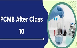 Dual Preparation Stream